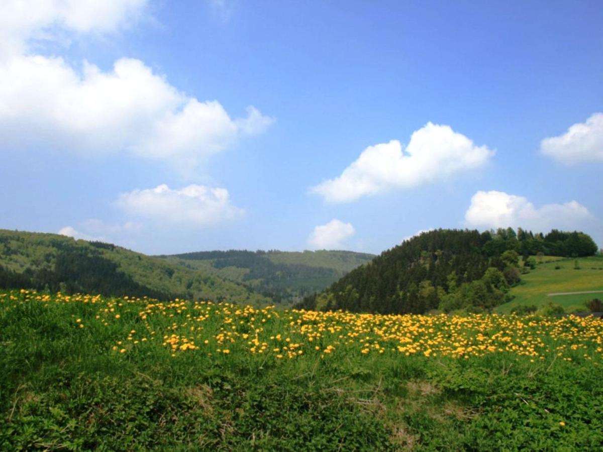 Cosy Apartment In Schwalefeld Near Willingen With Private Terrace מראה חיצוני תמונה