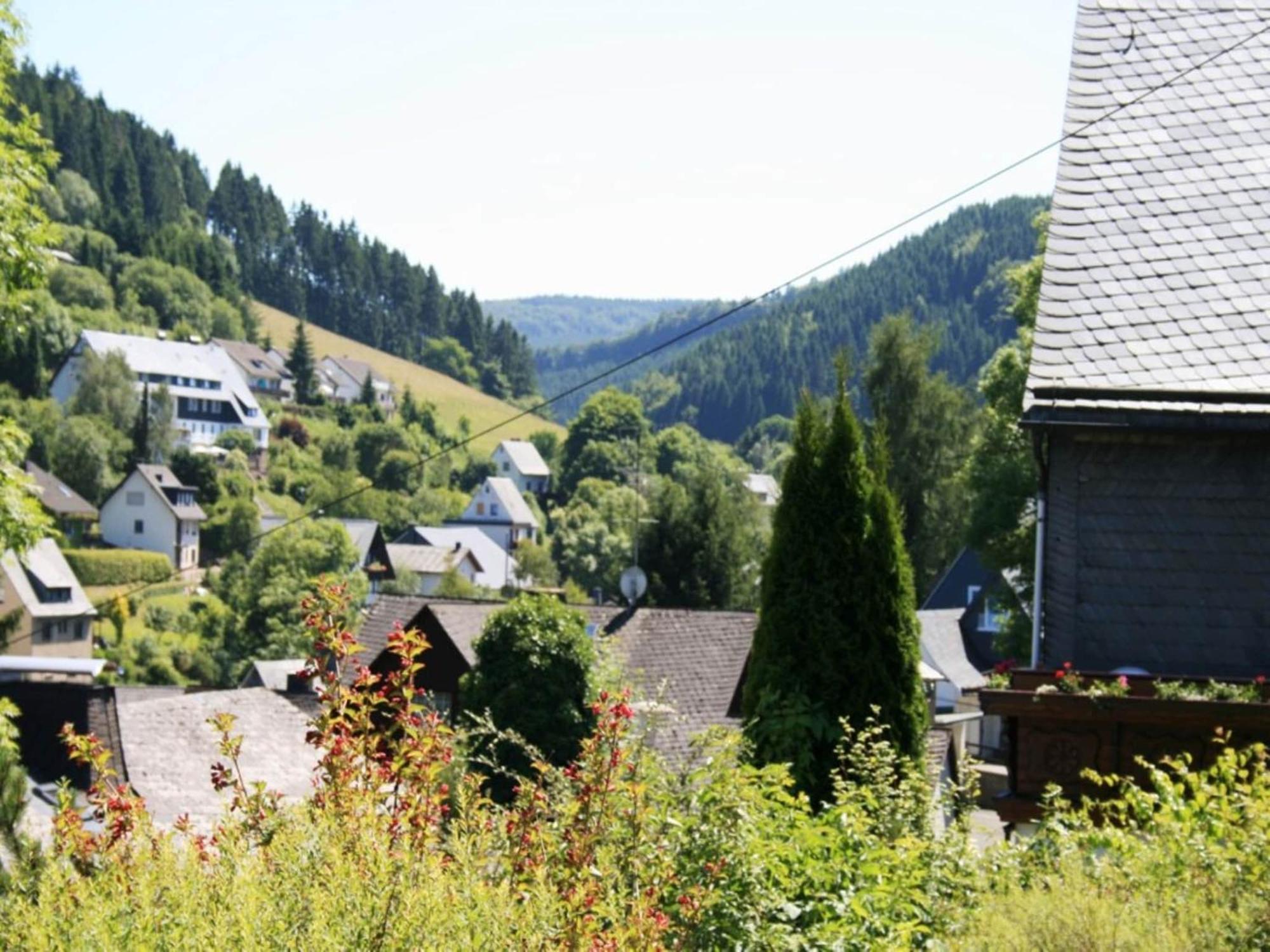 Cosy Apartment In Schwalefeld Near Willingen With Private Terrace מראה חיצוני תמונה