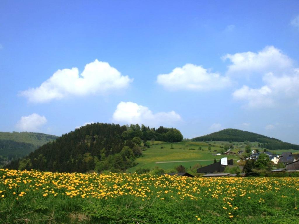 Cosy Apartment In Schwalefeld Near Willingen With Private Terrace מראה חיצוני תמונה